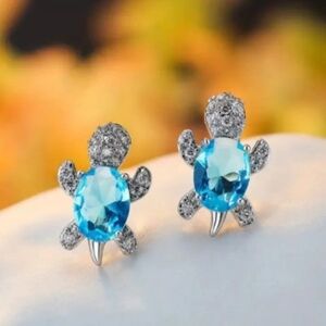 🐰5/20 Spring Blue and Silver Turtle Earrings